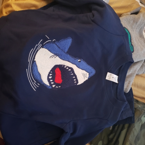 Carters Kids Boys Sz6 Camo Poplin pants/ Sweatshirt..Brought separately. Set$15 - Picture 11 of 11